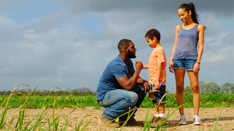 queensugar